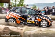 adac-hessen-rallye-vogelsberg-2014-rallyelive.com-2948.jpg